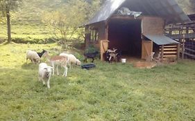 Gospodarstwo Agroturystyczne U Nos Apartament Bioly